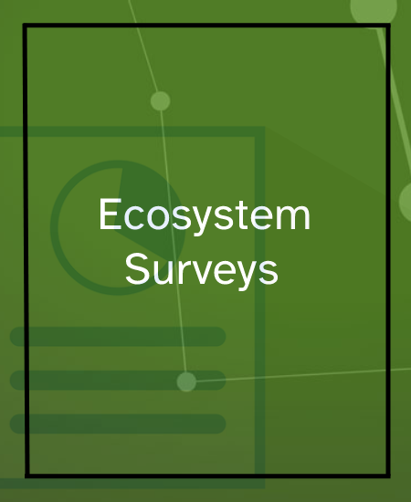 Ecosystem Surveys